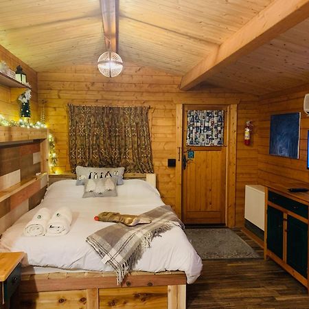 Fancy Fireflies Cabin Hayward Exteriör bild
