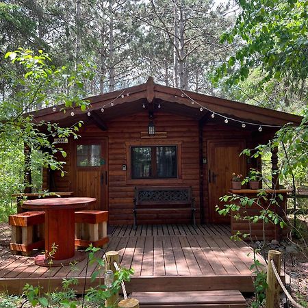 Fancy Fireflies Cabin Hayward Exteriör bild