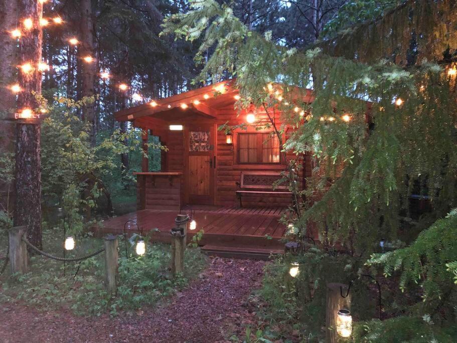 Fancy Fireflies Cabin Hayward Exteriör bild